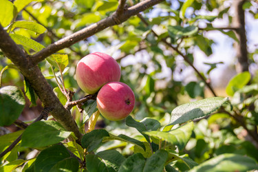 Similar image 21385993