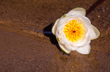 Similar image 21385997