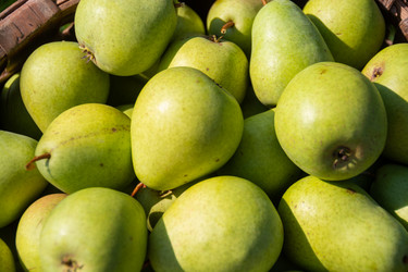 Similar image 21386004