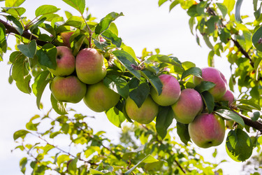 Similar image 21386006