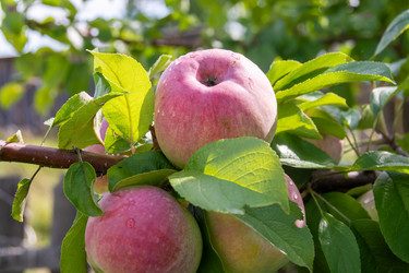 Similar image 21386008