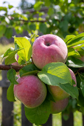 Similar image 21386009