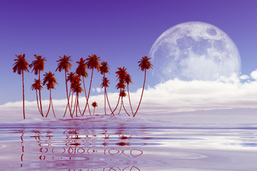 Similar image 21425292