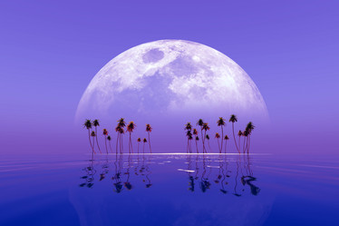 Similar image 21425320