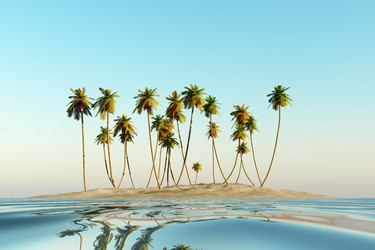 Similar image 21425334