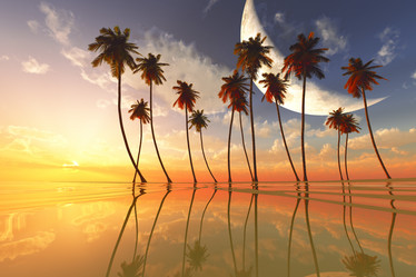 Similar image 21425336