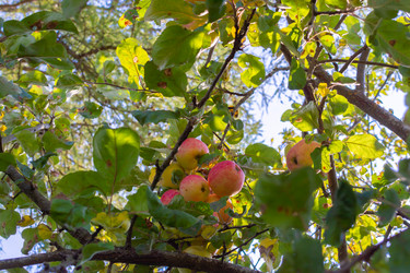 Similar image 21386010