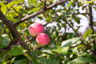 Similar image 21386011