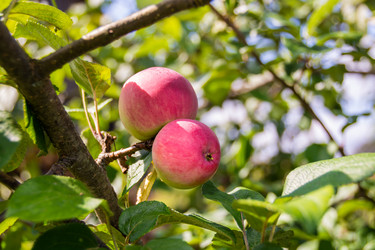 Similar image 21386012