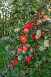 Similar image 21386117