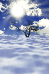 Similar image 21425370