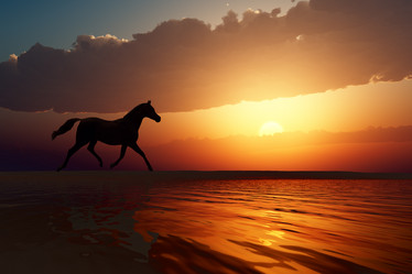 Similar image 21425372