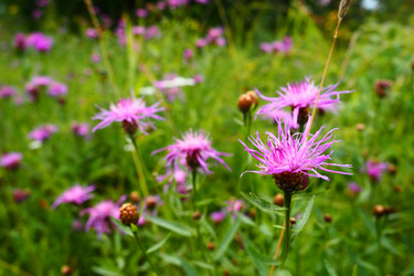 Similar image 21416319