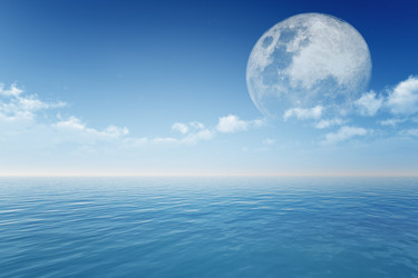 Similar image 21425442