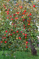 Similar image 21386015