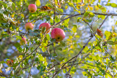 Similar image 21386016