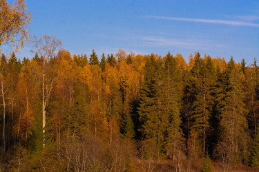 Similar image 21386021