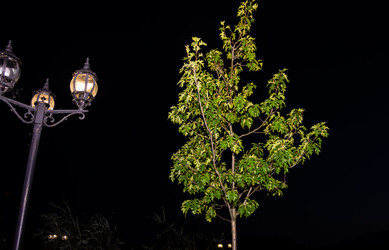 Similar image 21386025