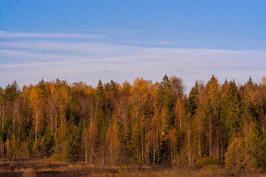 Similar image 21386026