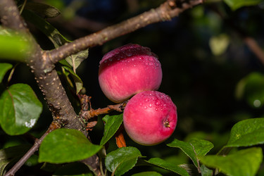 Similar image 21386027