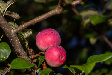 Similar image 21386028