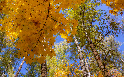 Similar image 21386029