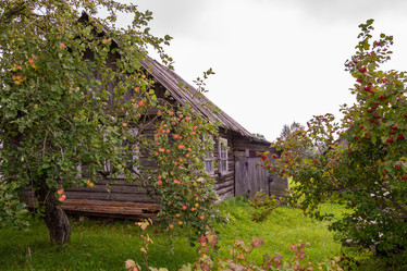 Similar image 21386032