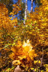 Similar image 21386034