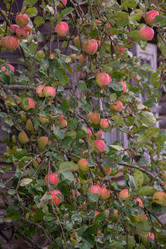 Similar image 21386035