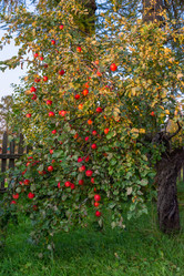 Similar image 21386036