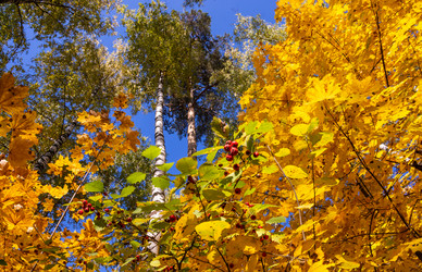 Similar image 21386039