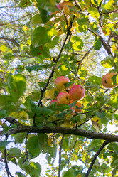 Similar image 21386041