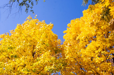 Similar image 21386042