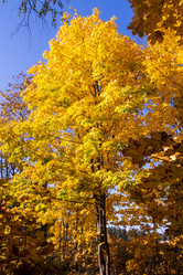 Similar image 21386043