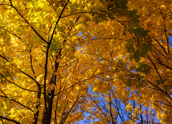 Similar image 21386045