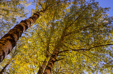 Similar image 21386046