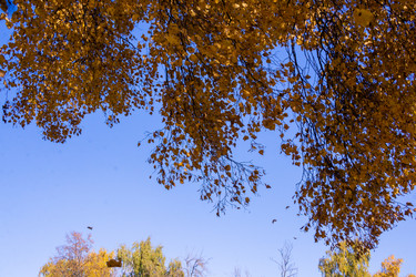 Similar image 21386048