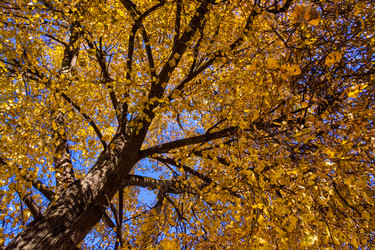 Similar image 21386050