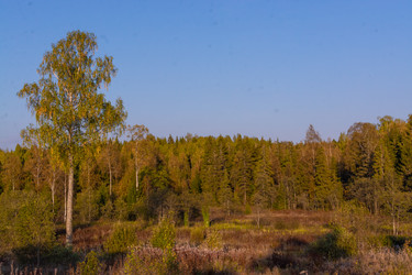 Similar image 21386051