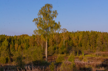 Similar image 21386052