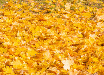 Similar image 21386054