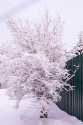 Similar image 21386055