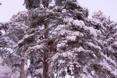 Similar image 21386057