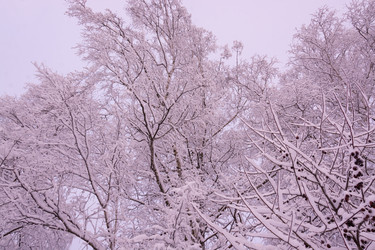 Similar image 21386058