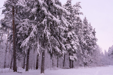 Similar image 21386059