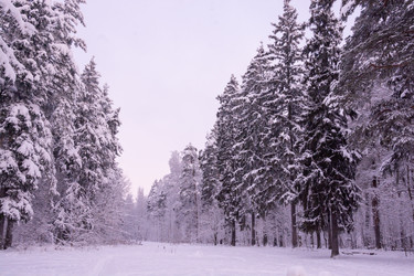 Similar image 21386060