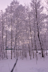 Similar image 21386061