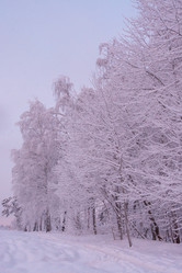 Similar image 21386120