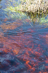 Similar image 21386293