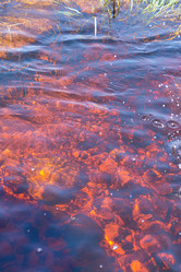 Similar image 21386294